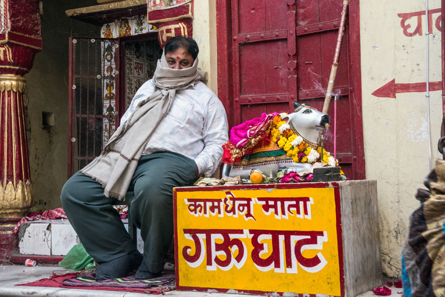 %_tempFileName27%20Pushkar,%20Kamdhenu%20Mata%20Temple%20(Gau%20Ghat)%