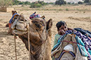 %_tempFileName18%20Khuri,%20Camel%20Safari%20Point%
