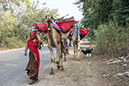 %_tempFileName23%20Rajasthan,%20carovana%20nomadi%