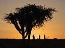 %_tempFileName15%20Tigray%20-%20tramonto%