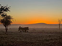 %_tempFileName07%20Sesriem,%20Desert%20Quiver%20Camp%