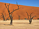 %_tempFileName10%20Sossusvlei,%20Namib%20Desert,%20Deadvlei%